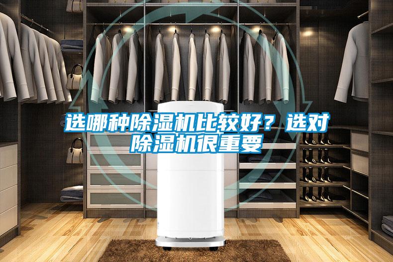 選哪種除濕機比較好?選對除濕機很重要