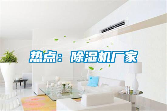 熱點(diǎn):除濕機(jī)廠家
