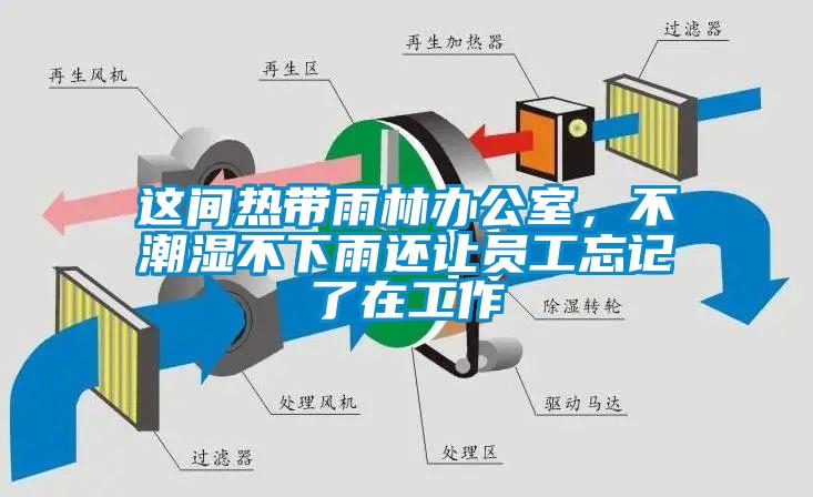 這間熱帶雨林辦公室，不潮濕不下雨還讓員工忘記了在工作