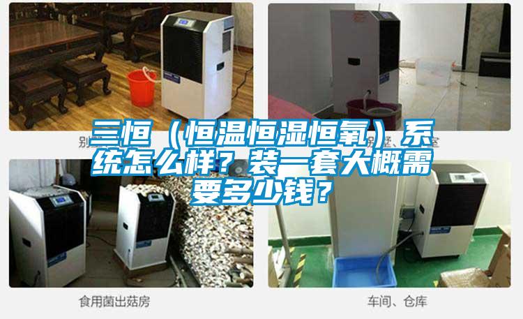 三恒（恒溫恒濕恒氧）系統怎么樣？裝一套大概需要多少錢？