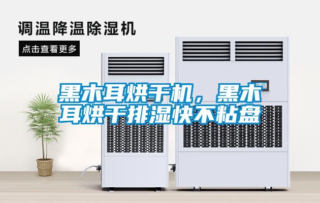 黑木耳烘干機，黑木耳烘干排濕快不粘盤