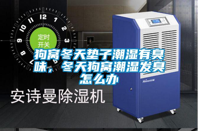 狗窩冬天墊子潮濕有臭味,冬天狗窩潮濕發臭怎么辦