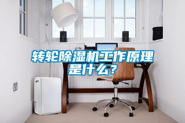 轉輪除濕機工作原理是什么?