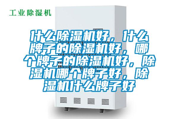 什么除濕機好,什么牌子的除濕機好,哪個牌子的除濕機好,除濕機哪個牌子好,除濕機什么牌子好