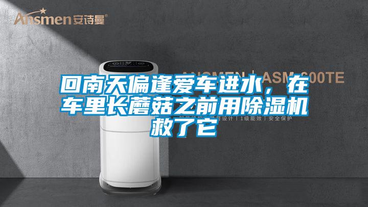 回南天偏逢愛車進水,在車里長蘑菇之前用除濕機救了它