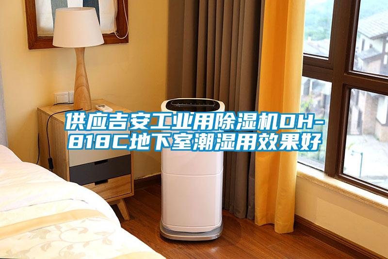 供應吉安工業(yè)用除濕機DH-818C地下室潮濕用效果好