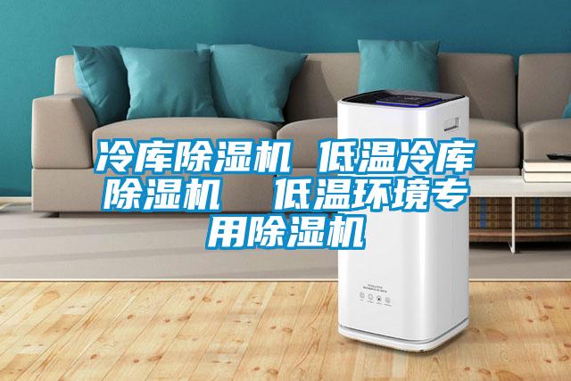 冷庫除濕機 低溫冷庫除濕機 低溫環(huán)境專用除濕機