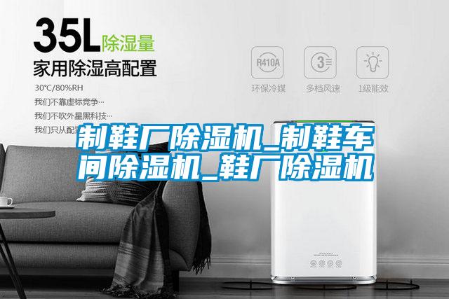 制鞋廠除濕機_制鞋車間除濕機_鞋廠除濕機