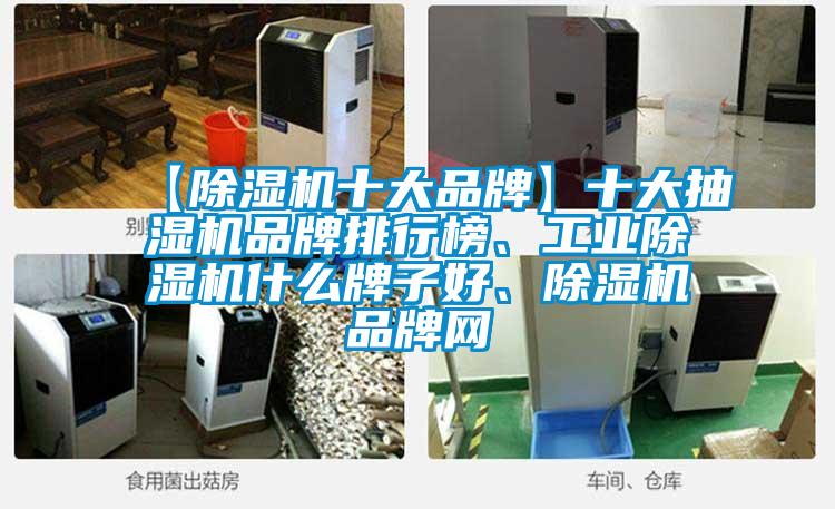【除濕機十大品牌】十大抽濕機品牌排行榜、工業(yè)除濕機什么牌子好、除濕機品牌網(wǎng)