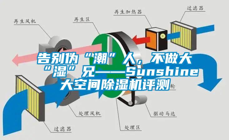 告別偽“潮”人，不做大“濕”兄——Sunshine大空間除濕機評測