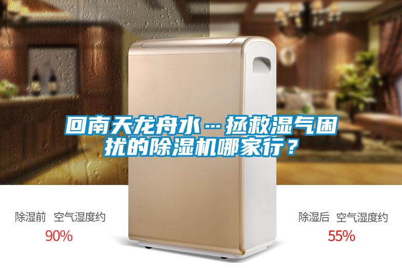 回南天龍舟水…拯救濕氣困擾的除濕機哪家行?