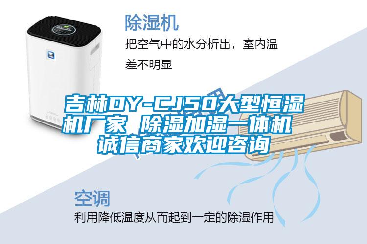 吉林DY-CJ50大型恒濕機(jī)廠家 除濕加濕一體機(jī) 誠(chéng)信商家歡迎咨詢(xún)