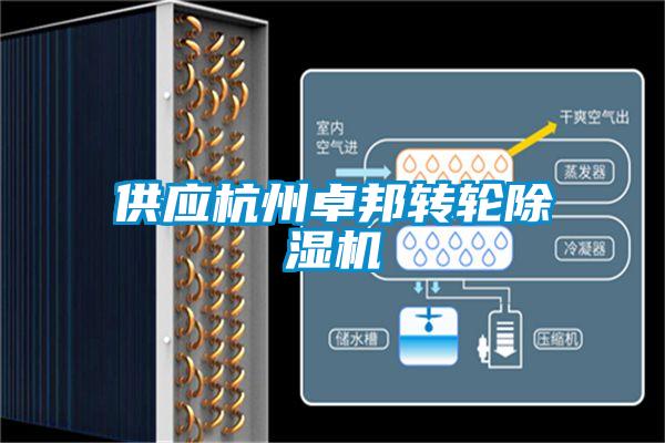 供應(yīng)杭州卓邦轉(zhuǎn)輪除濕機