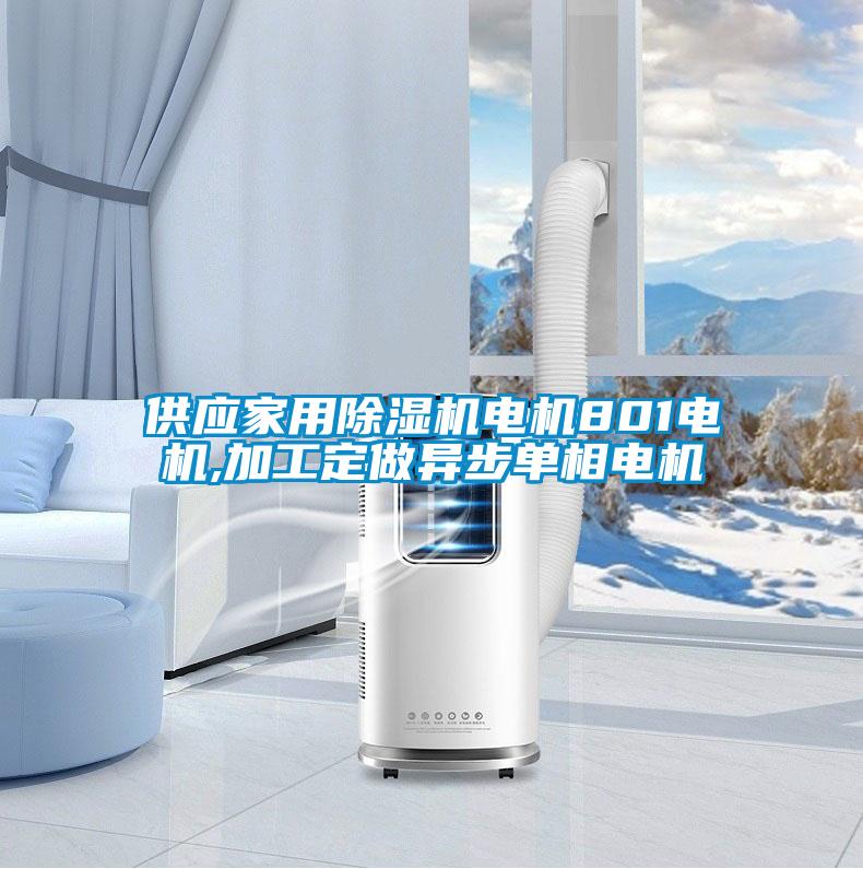 供應(yīng)家用除濕機(jī)電機(jī)801電機(jī),加工定做異步單相電機(jī)