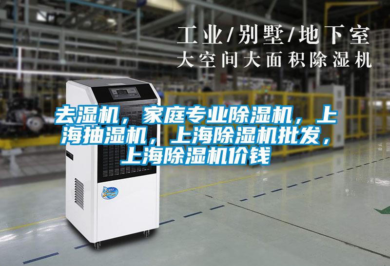 去濕機(jī)，家庭專業(yè)除濕機(jī)，上海抽濕機(jī)，上海除濕機(jī)批發(fā)，上海除濕機(jī)價(jià)錢