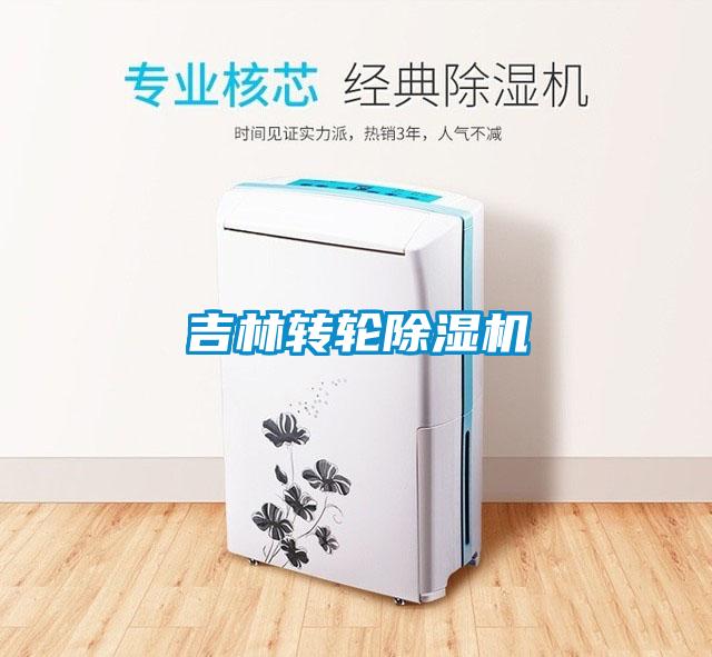 吉林轉(zhuǎn)輪除濕機