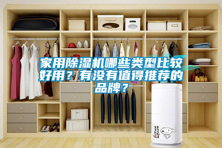 家用除濕機哪些類型比較好用？有沒有值得推薦的品牌？