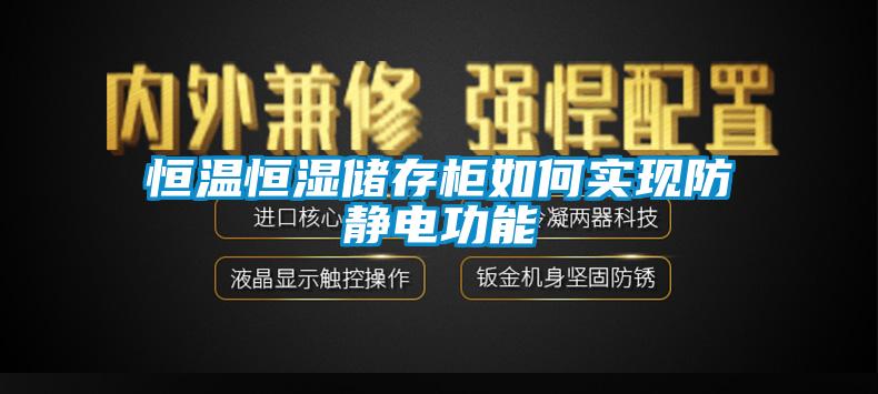 恒溫恒濕儲(chǔ)存柜如何實(shí)現(xiàn)防靜電功能
