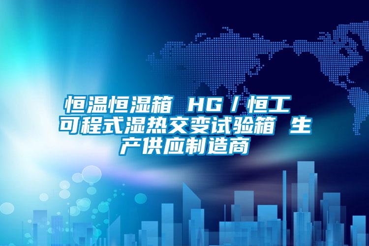 恒溫恒濕箱 HG/恒工 可程式濕熱交變試驗箱 生產(chǎn)供應(yīng)制造商