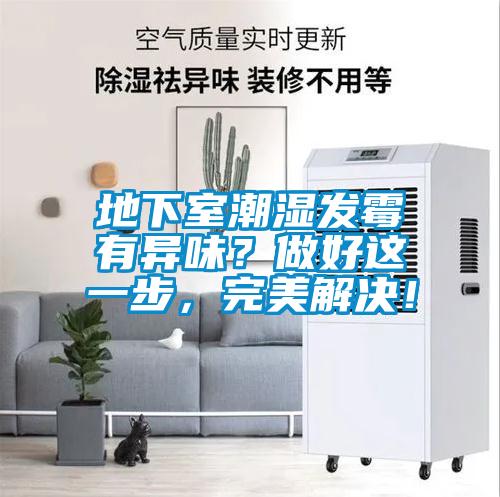 地下室潮濕發(fā)霉有異味？做好這一步，完美解決！