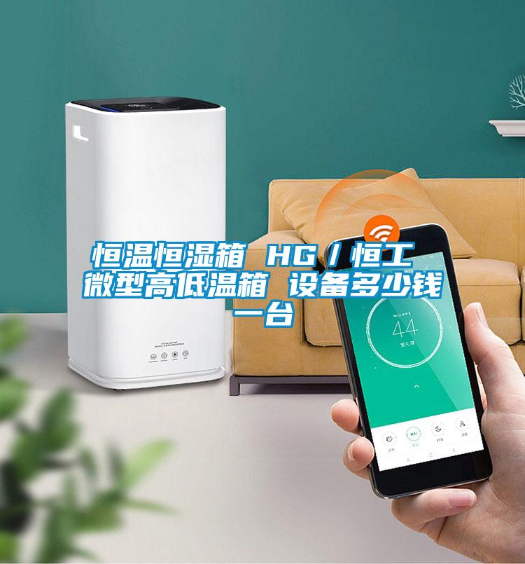 恒溫恒濕箱 HG/恒工 微型高低溫箱 設(shè)備多少錢一臺