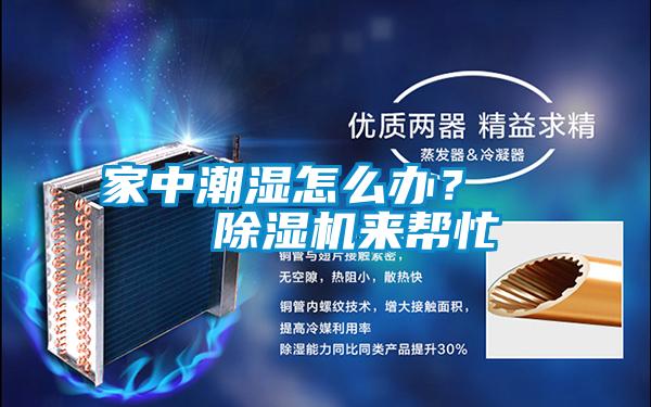 家中潮濕怎么辦? 除濕機(jī)來幫忙
