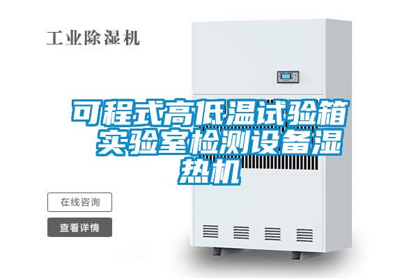 可程式高低溫試驗(yàn)箱 實(shí)驗(yàn)室檢測設(shè)備濕熱機(jī)