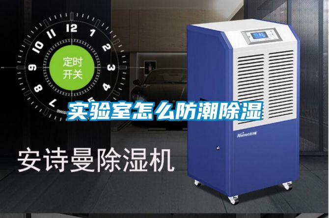 實驗室怎么防潮除濕
