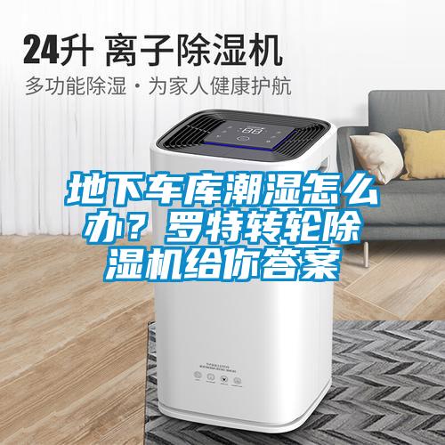 地下車(chē)庫(kù)潮濕怎么辦？羅特轉(zhuǎn)輪除濕機(jī)給你答案