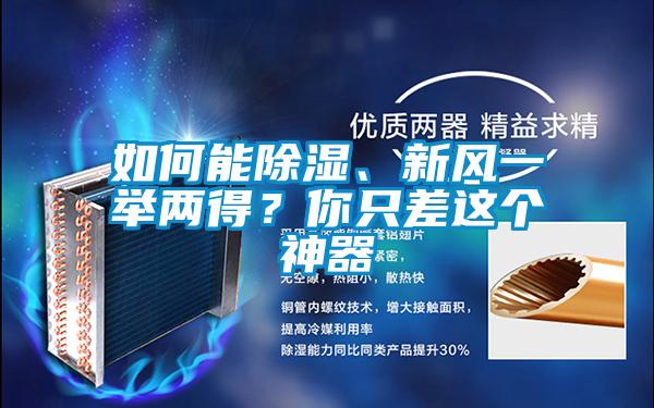 如何能除濕、新風(fēng)一舉兩得？你只差這個神器