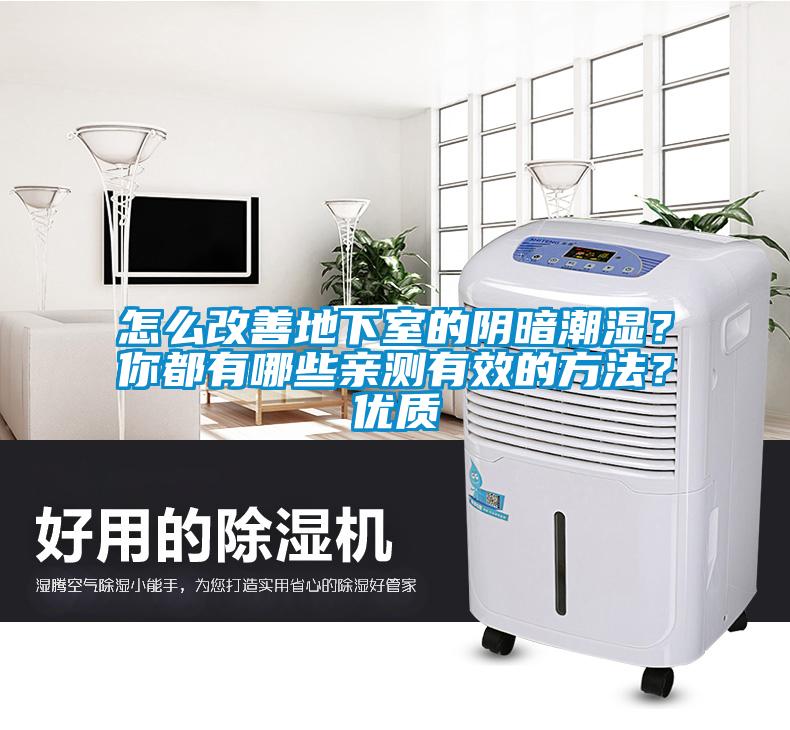 怎么改善地下室的陰暗潮濕?你都有哪些親測有效的方法?優質