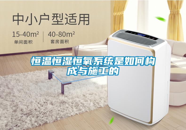 恒溫恒濕恒氧系統(tǒng)是如何構成與施工的