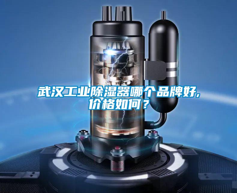 武漢工業(yè)除濕器哪個品牌好,價格如何？