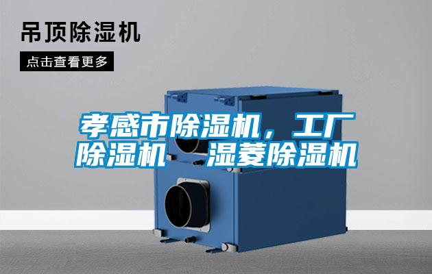 孝感市除濕機(jī),工廠除濕機(jī) 濕菱除濕機(jī)