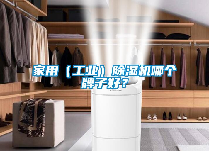 家用（工業(yè)）除濕機哪個牌子好？