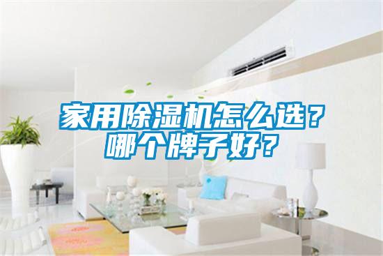 家用除濕機怎么選？哪個牌子好？