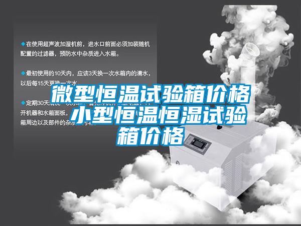 微型恒溫試驗(yàn)箱價格 小型恒溫恒濕試驗(yàn)箱價格
