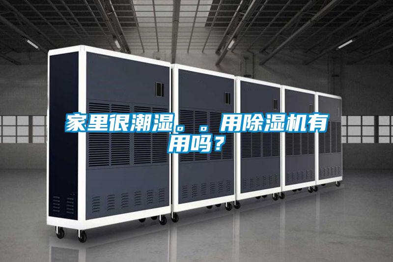 家里很潮濕。。用除濕機(jī)有用嗎?
