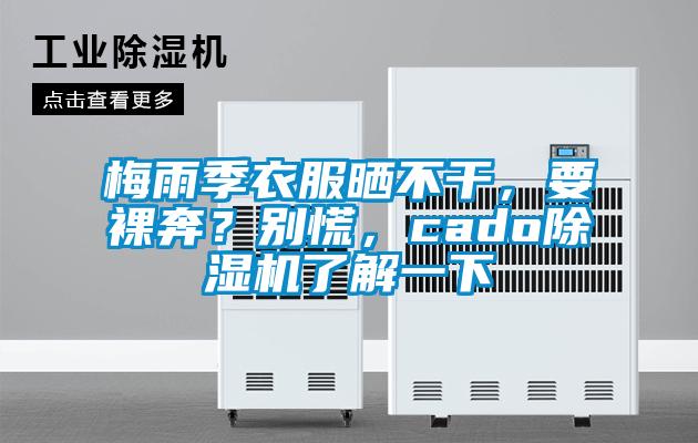 梅雨季衣服曬不干，要裸奔？別慌，cado除濕機(jī)了解一下