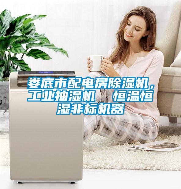 婁底市配電房除濕機,工業(yè)抽濕機 恒溫恒濕非標(biāo)機器