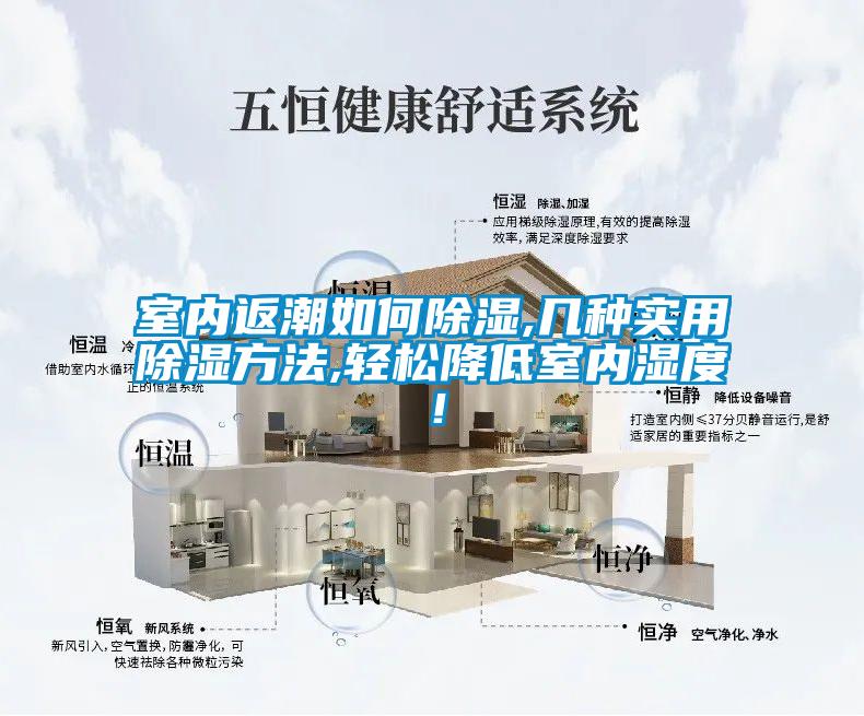 室內返潮如何除濕,幾種實用除濕方法,輕松降低室內濕度！