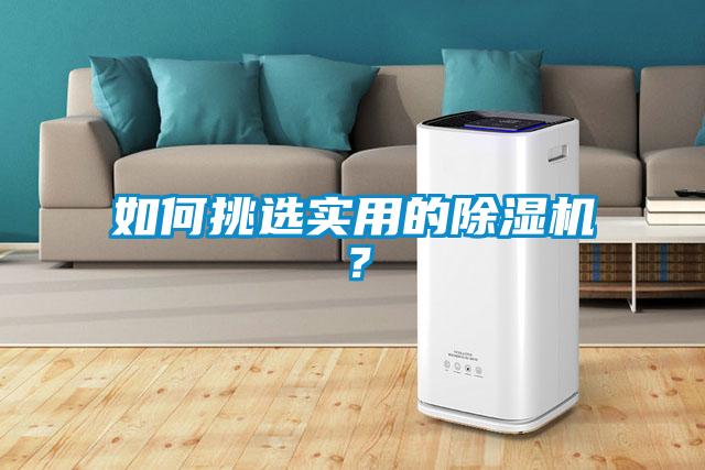 如何挑選實(shí)用的除濕機(jī)?