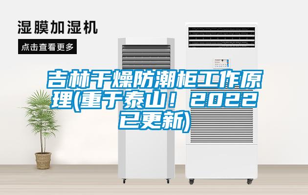 吉林干燥防潮柜工作原理(重于泰山！2022已更新)