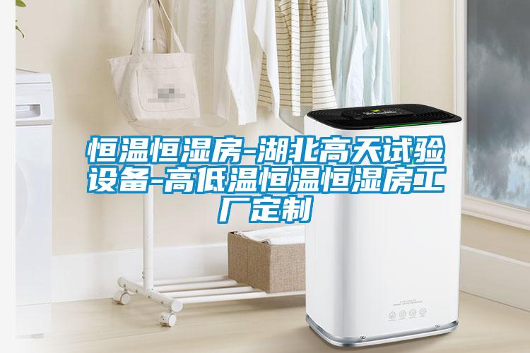 恒溫恒濕房-湖北高天試驗(yàn)設(shè)備-高低溫恒溫恒濕房工廠(chǎng)定制