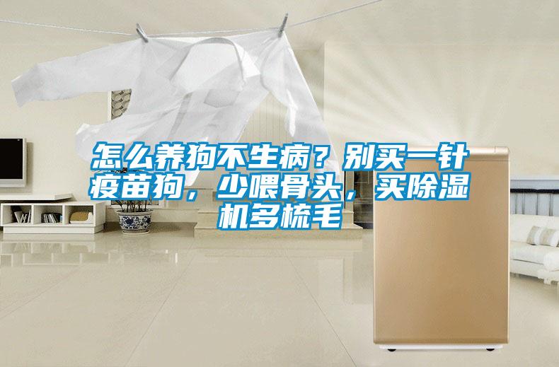 怎么養狗不生??？別買一針疫苗狗，少喂骨頭，買除濕機多梳毛