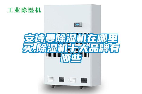 安詩(shī)曼除濕機(jī)在哪里買,除濕機(jī)十大品牌有哪些