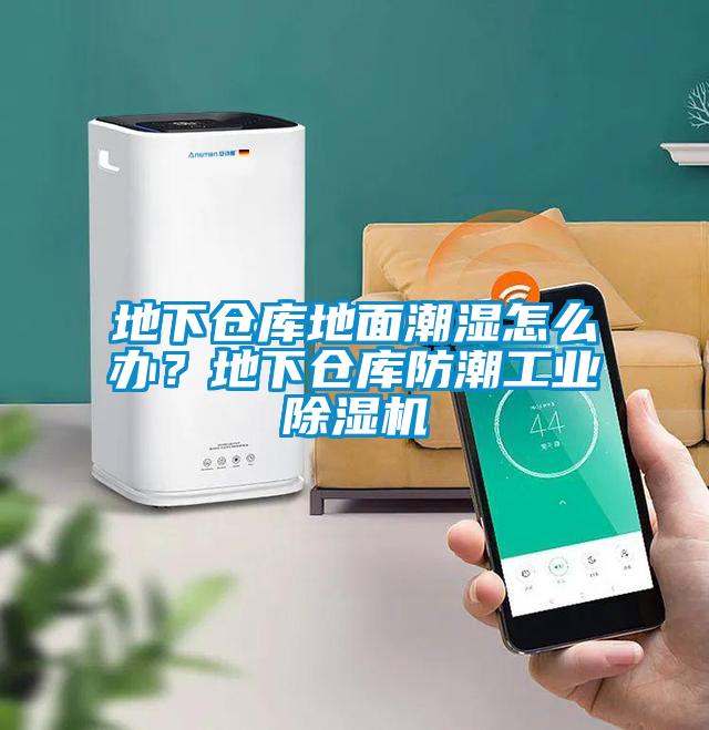 地下倉庫地面潮濕怎么辦？地下倉庫防潮工業除濕機