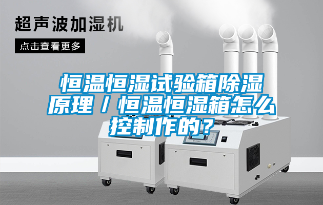 恒溫恒濕試驗箱除濕原理／恒溫恒濕箱怎么控制作的？
