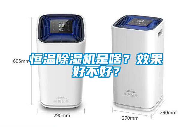 恒溫除濕機是啥？效果好不好？