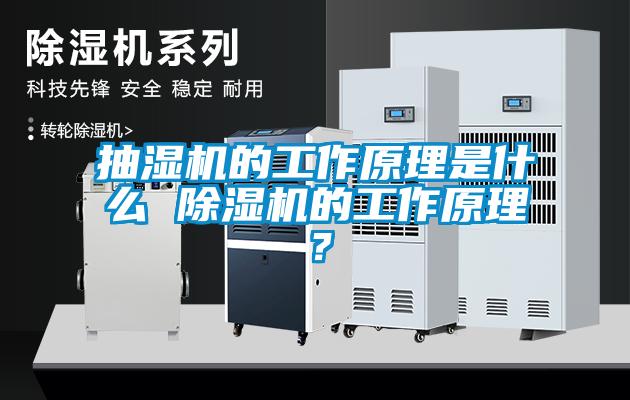 抽濕機的工作原理是什么 除濕機的工作原理?